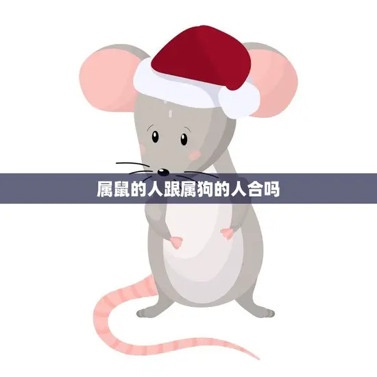 属鼠的人跟属狗的人合吗(星座专家揭秘两者的相处之道)