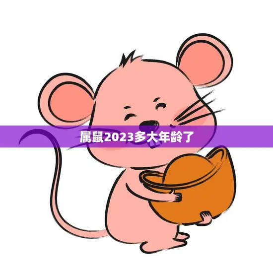 属鼠2023多大年龄了(探究属鼠人的年龄与性格特点)