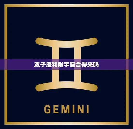 双子座和射手座合得来吗(星座配对分析)