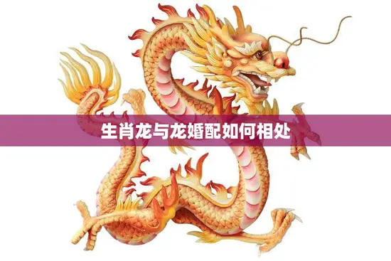 生肖龙与龙婚配如何相处(顺应天命相互理解共创美好未来)