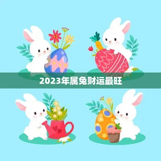 2023年属兔财运最旺(兔年财神降临财富滚滚来)