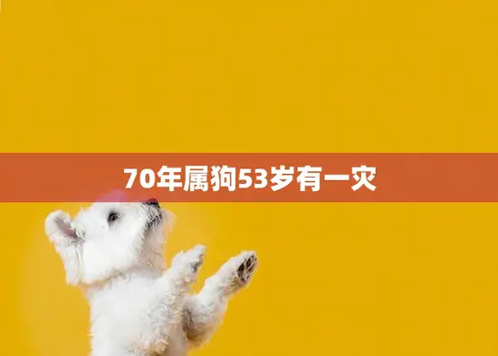 70年属狗53岁有一灾(如何化解)