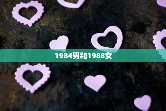 1984男和1988女(两代人的爱情故事)