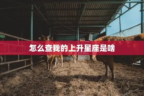 怎么查我的上升星座是啥(快速了解自己的升星座)