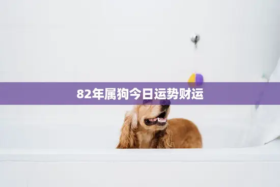 82年属狗今日运势财运(财运亨通好运连连)
