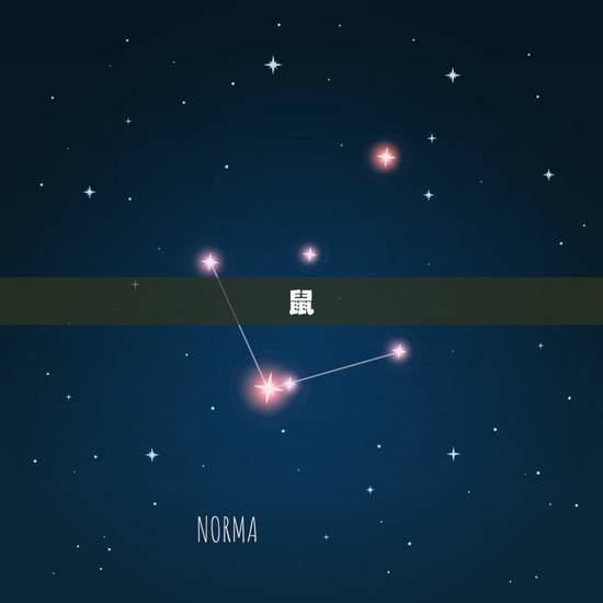 12生属相是什么生肖(十二生肖你知道吗)