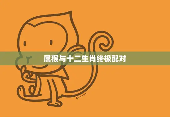 属猴与十二生肖终极配对(完美搭档星座缘分不容错过)