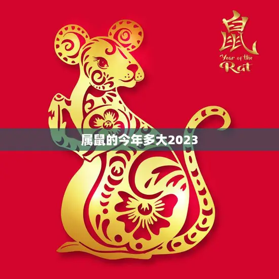 属鼠的今年多大2023(猫鼠年交替你的年龄又增长了吗)