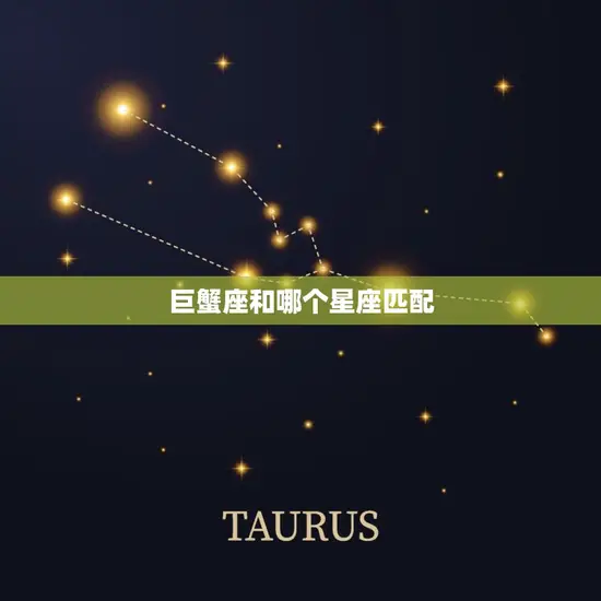 巨蟹座和哪个星座匹配(星座组合大介绍)