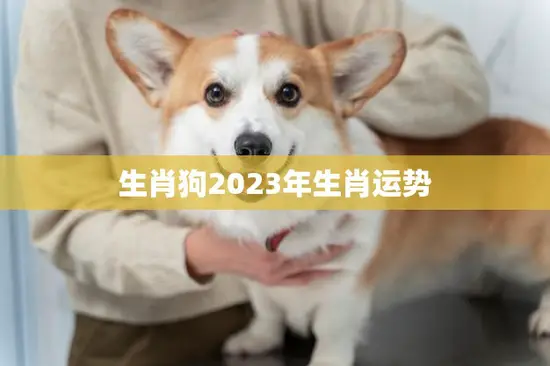 生肖狗2023年生肖运势(狗年大展宏图财运亨通)