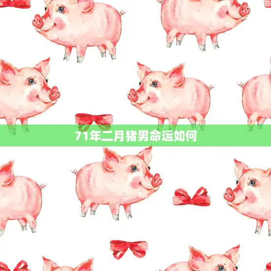 71年二月猪男命运如何(2023年运势大揭秘)
