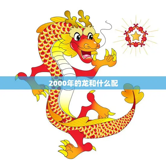 2000年的龙和什么配(探寻属龙人的最佳配对)