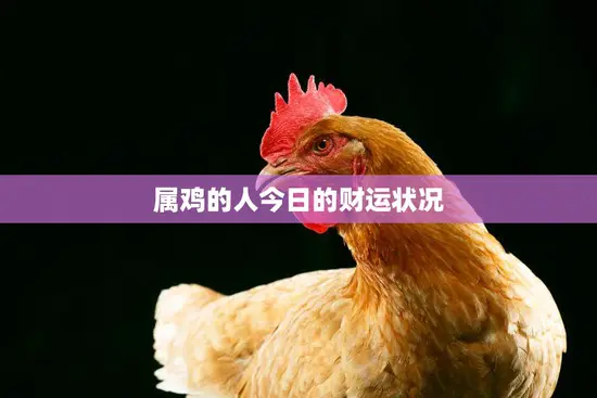 属鸡的人今日的财运状况(财富亨通财源广进)