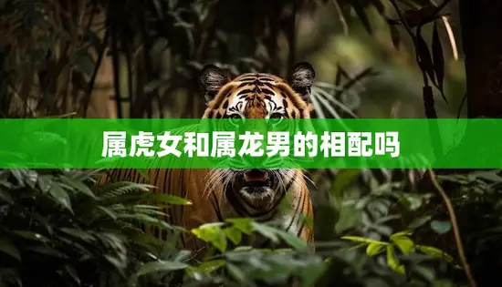 属虎女和属龙男的相配吗(解析命理学角度下的姻缘)