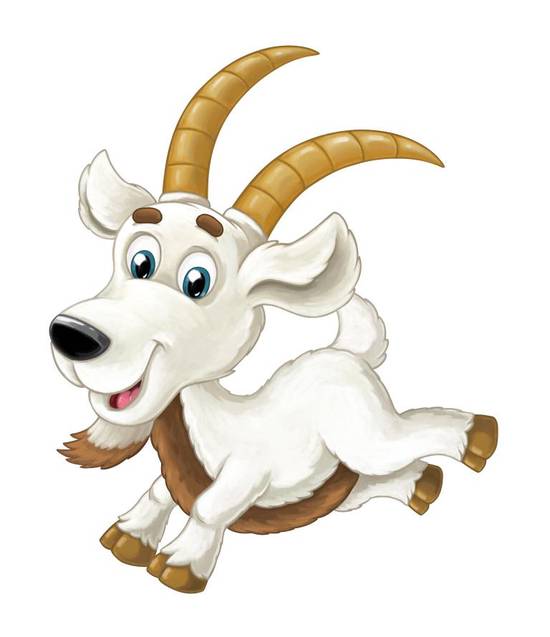 91年属羊人一生的运势(顺境与挑战并存)