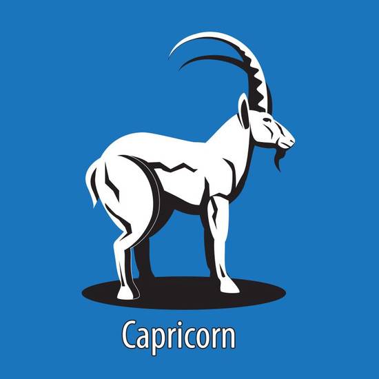 摩羯座女生6月份桃花运(星途璀璨爱情甜蜜)