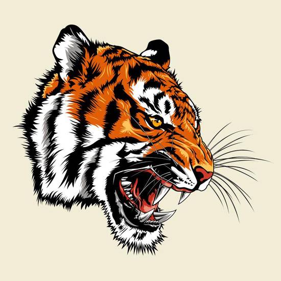 属虎人跟谁一起最幸福呢(寻找最佳伴侣)