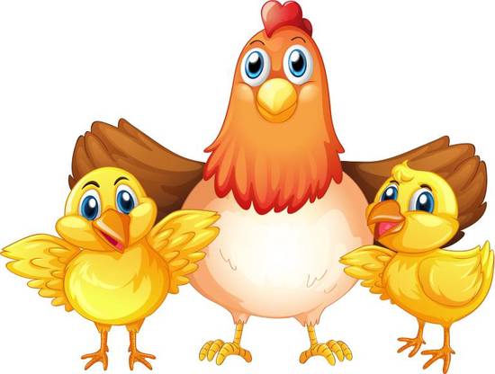 属鸡69年一生晚年怎样(预测晚年幸福安康财运不俗)