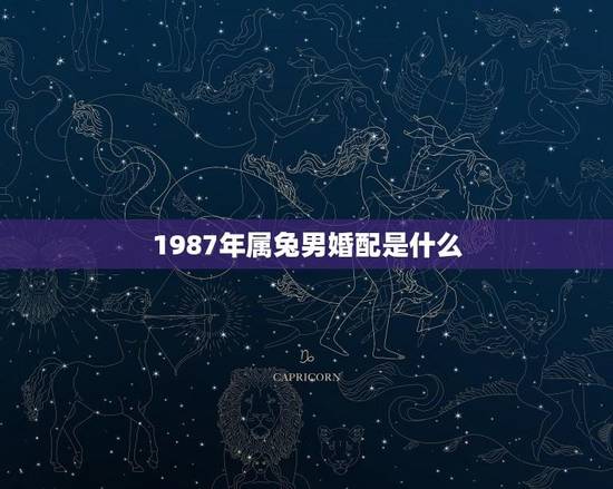 1987年属兔男婚配是什么(十二生肖配对指南)