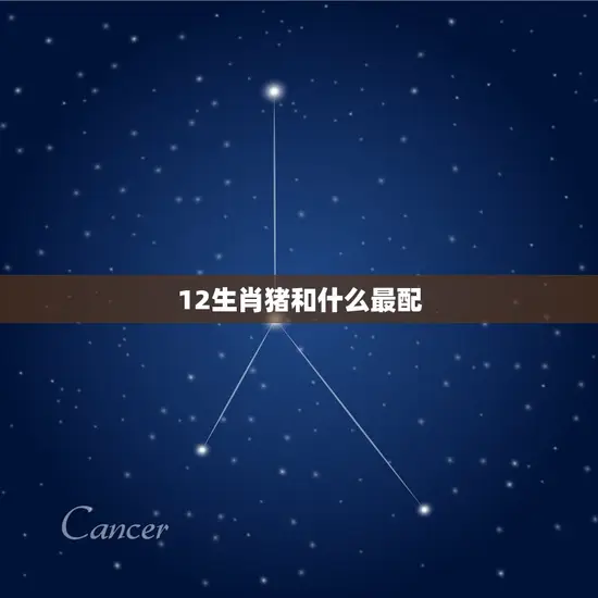 12生肖猪和什么最配(十二生肖中配对大介绍)