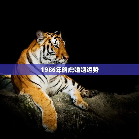 1986年的虎婚姻运势(顺风顺水幸福)