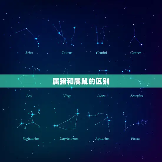 1972年是属猪的吗(解密1972年出生的人属猪吗)