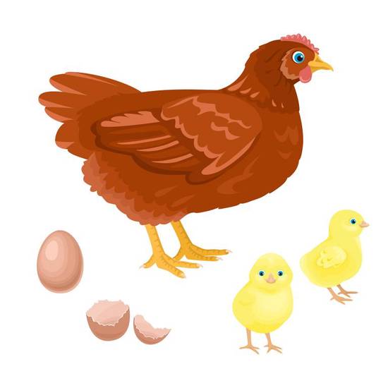 93年属鸡运势2023(鸡年大展宏图财运亨通)