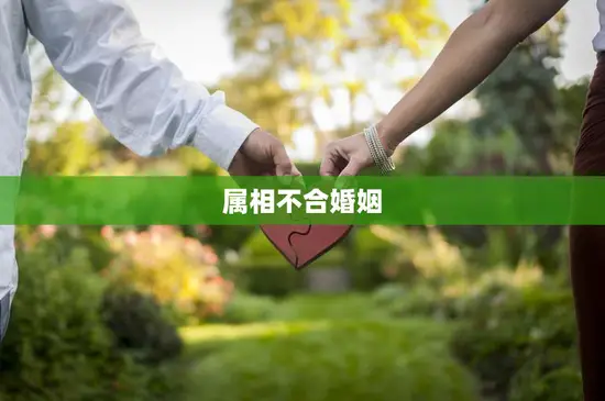 属相不合婚姻(幸福与否取决于这个)