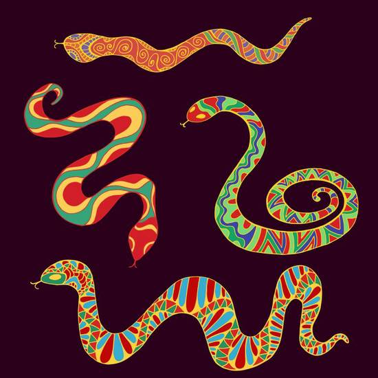 生肖属蛇的最佳配偶属相(揭秘与哪些属相最般配)