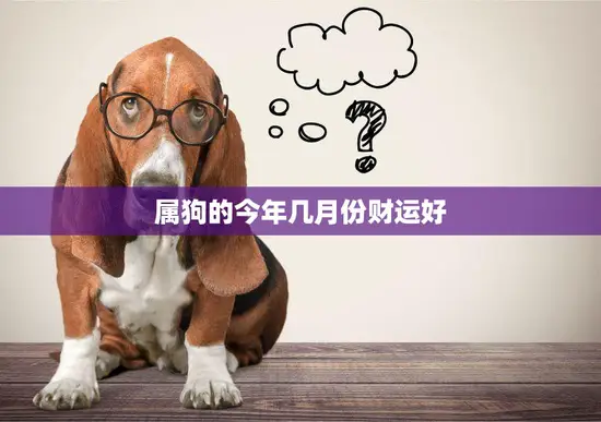 属狗的今年几月份财运好(解析狗年财运如何哪几个月份最旺)