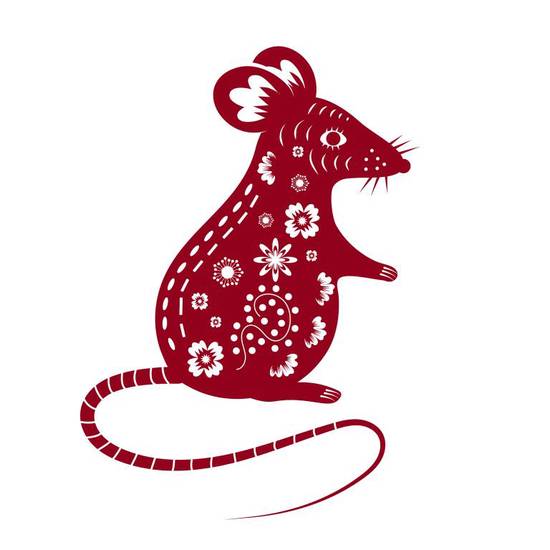 96年男鼠和86年女虎(命运交错爱情却不可阻挡)