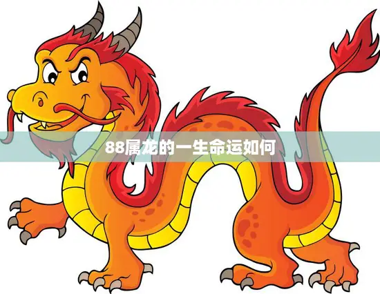 88属龙的一生命运如何(探究龙年出生者的命运走向)