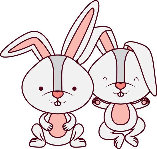 兔年本命年运势女(如何化解厄运)