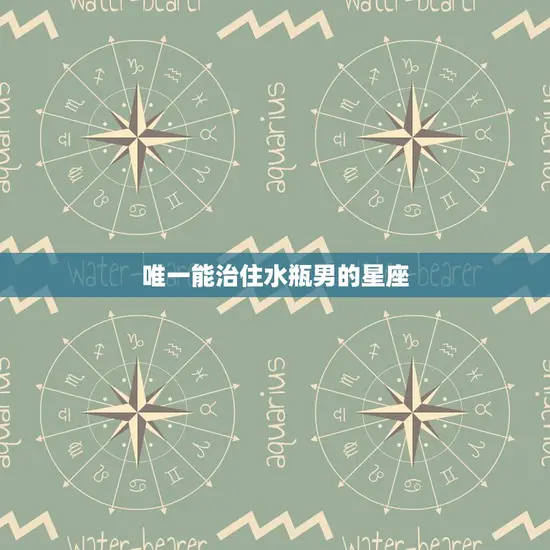 唯一能治住水瓶男的星座(揭秘天秤座的绝佳配对)