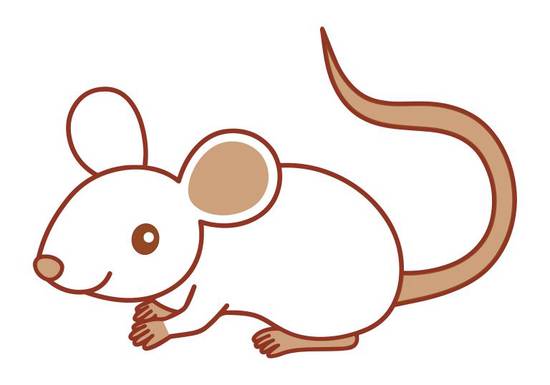 属马和属鼠的合不合婚姻(如何选择最佳配偶)