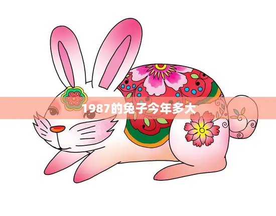 1987的兔子今年多大(回顾兔年出生的人的成长历程)