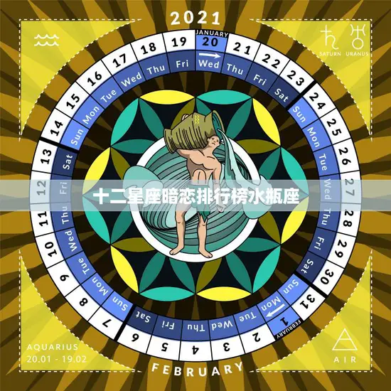 十二星座暗恋排行榜水瓶座(为何总是让人捉摸不定)