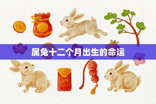 属兔十二个月出生的命运(如何影响你的人生)