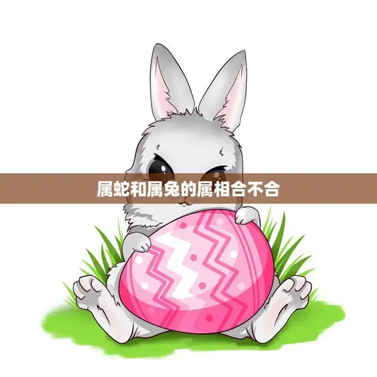 属蛇和属兔的属相合不合(你知道吗)