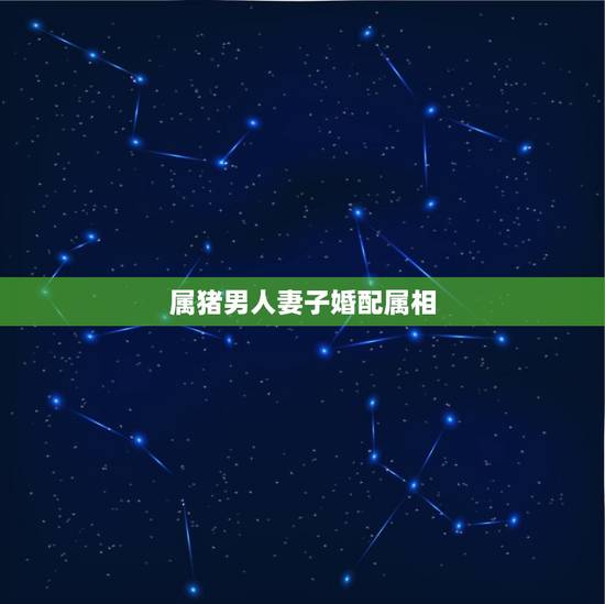 属猪男子婚配属相(探寻属猪男人的婚姻配对指南)