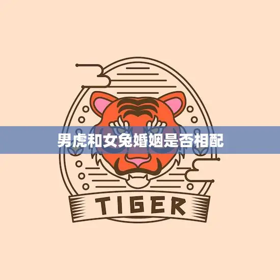 男虎和女兔婚姻是否相配(探究缘分还是注定)