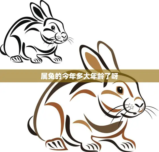 属兔的今年多大年龄了呀(解密兔年生肖年龄你知道吗)