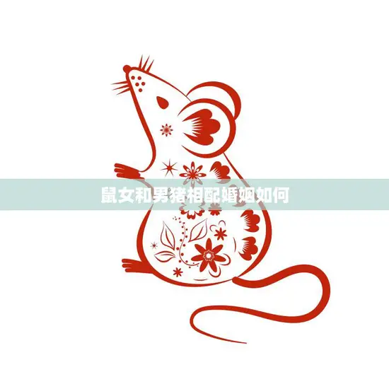鼠女和男猪相配婚姻如何(幸福的秘诀)