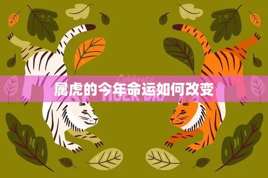 属虎的今年命运如何改变(2023年属虎人的运势大揭秘)