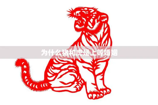 为什么猪和虎是上等婚姻(探究猪虎婚姻的神秘背后)