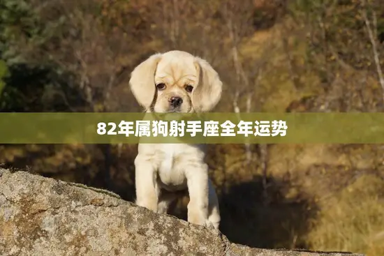 82年属狗射手座全年运势(财运旺盛事业进展顺利)