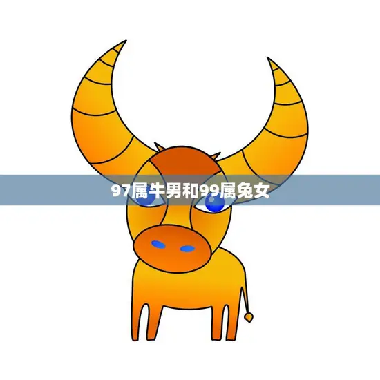 97属牛男和99属兔女(爱情路上的坎坷与成长)