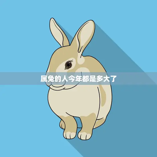 属兔的人今年都是多大了(2023年属兔人的年龄解析)