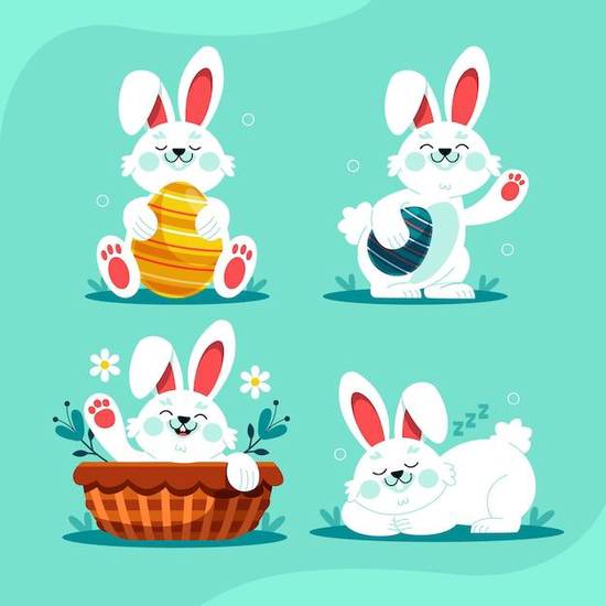 6月份出生的兔宝宝取名(如何给你的小兔子起个好听的名字)