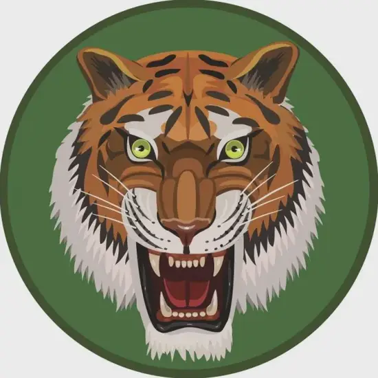 2025年2月9日虎女运势图解 生肖虎今日穿搭指南